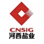 河西盐业公众号ico