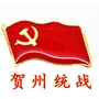 贺州统战ico