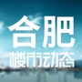 合肥楼市动态ico