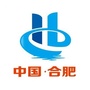 合肥市人民政府发布ico