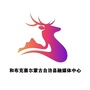 和布克赛尔零距离ico