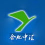 合肥中汇实验学校ico