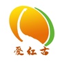 红古发布ico