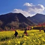 花果山乡魅力上寨公众号ico