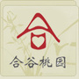 桂林合谷桃园ico