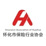 怀化市保险行业协会ico