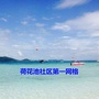 荷花池社区第一网格公众号ico