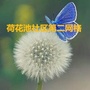 荷花池社区第二网格ico