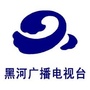 亲亲黑河ico
