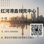 红河港鑫领克ico