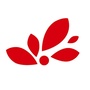 多彩红花岗ico