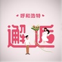 呼和浩特邂逅ico