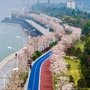 青春滨江ico