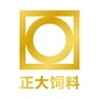 怀化正大有限公司ico