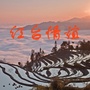 红河州台办ico