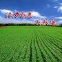 活力奋进新双庙ico