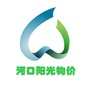 河口阳光物价ico