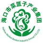 海口市菜篮子产业集团ico