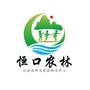 恒口 三农ico