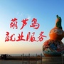 葫芦岛就业服务ico