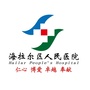 海拉尔区人民医院ico