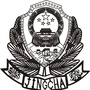 龙江追逃ico