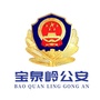宝泉微警务ico