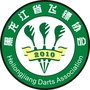 黑龙江省飞镖协会公众号ico