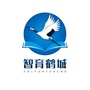 智育鹤城ico
