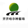 黑龙江省齐齐哈尔种畜场ico
