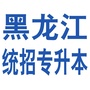 黑龙江统招专升本ico