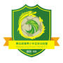 黄龙绿鹰足球俱乐部ico