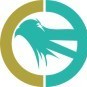 翰林说资质ico