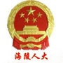 海陵人大发布ico