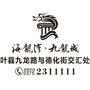 叶县海龙湾九龙城公众号ico