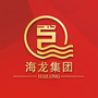 海龙集团ico