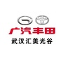 广汽丰田武汉汇美ico