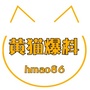 黄猫爆料ico