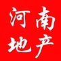 河南地产ico