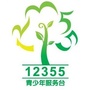 共青团海南12355公众号ico