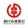 湖南洞口农村商业银行ico