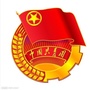 海南州团委ico