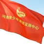 河南青少年素质发展中心公众号ico