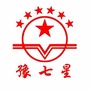 河南七星铜业有限公司ico