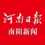 河南日报南阳新闻ico