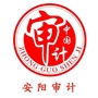 安阳市审计局ico