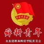 舜耕青年公众号ico