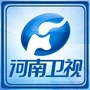 河南卫视ico