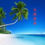 天涯同舟ico