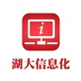 湖南大学信息化办公众号ico